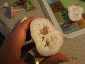 It was a large fancy radish.  I wasn't sure if it was supposed to look this way but it tasted good.