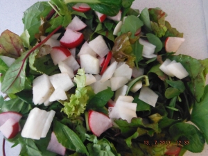 Red and White Radishes with Salad Greens